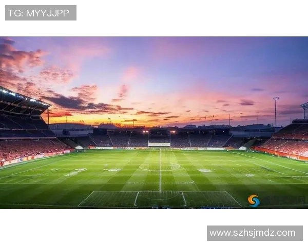 绿茵场上的荣耀与坚持纪书不灭的足球传奇之路